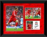 Fernando Torres Framed 8x6` 2008 Player Profile, Liverpool FC