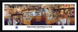 PIX4GIFTS Ibrox Trophy Room 26x11` Framed Panoramic Print Rangers FC