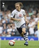 Tottenham Hotspur Spurs FC Official 10x8 Photograph Luka Modric