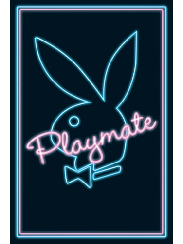 Playmate Neon Maxi Poster PP30363
