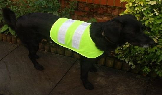 Playful Pets XXL Extra Extra Large Pet Dog Hi Viz Flourescent Safety Vest