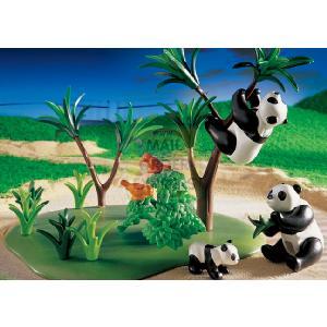 Zoo Panda Family