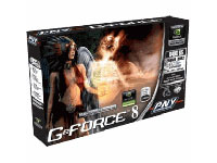 PNY GeForce 8 8400GS - Graphics adapter - GF