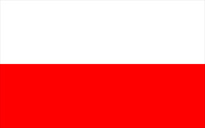 Poland paper flag, 11`` x 8``