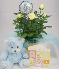 Post-a-Rose New Baby Boy Gift
