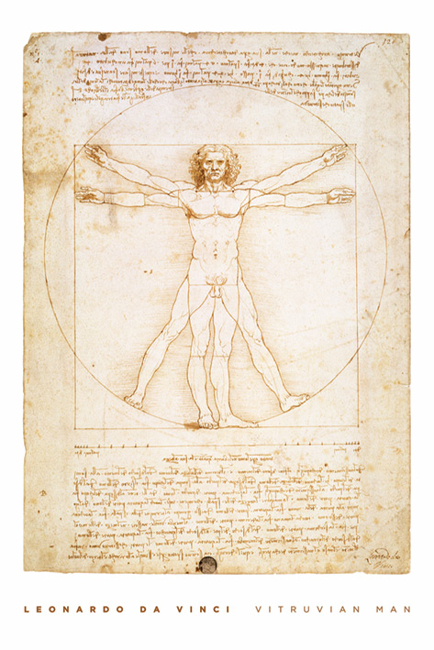 Leonardo Da Vinci and#39;Vitruvian Manand39; Poster Maxi PP30544