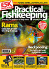 Practical Fishkeeping 6 issues to UK
