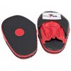 Fitness Hook and Jab Pads
