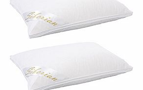 Soft Siberian Goose Down Pillows (2)