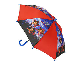 Priceless WWE Umbrella
