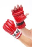 Pro-Box Red Fingerless Punch Bag Mitts Large