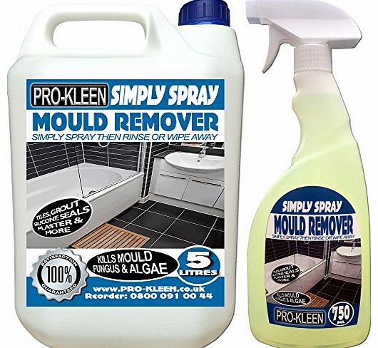 Simply Spray Professional Extra Value Pack Household Mould Remover Mildew Killer Spray
