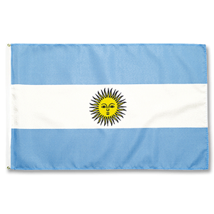 Promex Argentina Large Flag