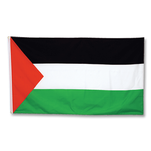 Palestine Large Flag
