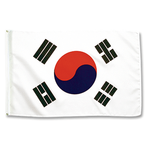 Promex South Korea Large Flag