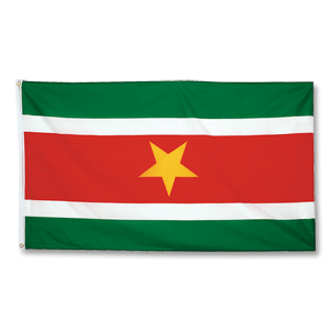 Suriname Large Flag