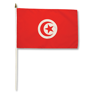Tunisia Small Flag