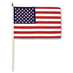 Promex USA Small Flag