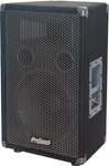 400W 12-Inch Loudspeaker ( QZ29/N93FN Cover )