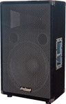 500W 15-Inch Loudspeaker ( ProSound 15 500w v2 )