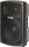 600W 12inch Plastic Cabinet Speaker with
