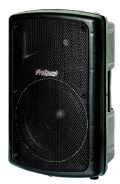 600W 12inch Plastic Cabinet Speaker