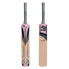 Puma Evolution 3000 Cricket Bat Short Handle