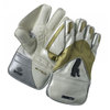 PUMA Tribute 3000 Wicketkeeping Gloves (3840441)