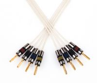 QED Silver Anniversary Bi-Wire Speaker Cable - 4 Metres- : No Terminations