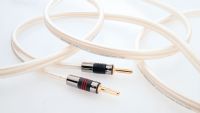 QED X-Tube XT350 Speaker Cable - 1 Metre- : 2 at one end only