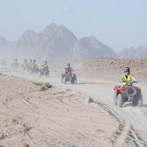 Biking in the Sinai Desert - Double Quad