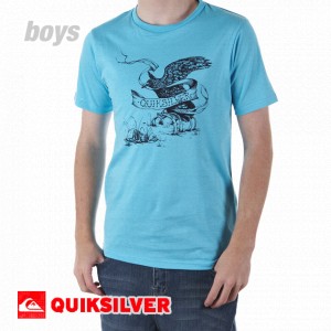Quiksilver T-Shirts - Quiksilver Perched Boys