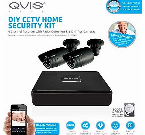 QVIS 2 CCTV Cameras 4 Channel 960H DVR System 500GB Hard Drive Complete Kit Plug