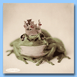 Rachel Hale - Green Frog