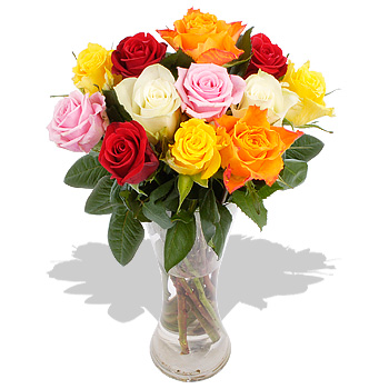 RAINBOW Roses International - flowers