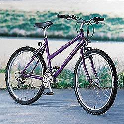 Vixen 18 Speed Mountain Bike