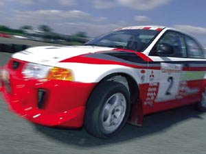 Rally Car Driving Thrill Special Offer