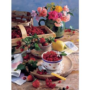 Fresh and Fruity 500 Piece Jigsaw Puzzle