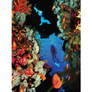 Ravensburger National Geographic Coral Reef 1000 Piece Jigsaw Puzzle