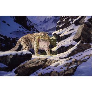 Snow Leopard Stalking 500 Piece Jigsaw Puzzle