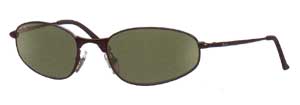 RayBan 3163 Polarised sunglasses