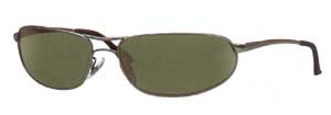 RayBan 3169 Polarised sunglasses