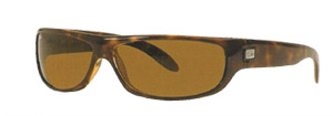 RayBan 4046 Sunglasses