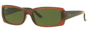 RayBan 4067 Sunglasses