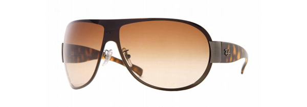 RB 3350 Sunglasses