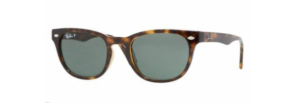 RB 4140 Sunglasses