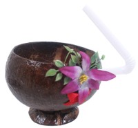 Real Coconut Cup With Straw