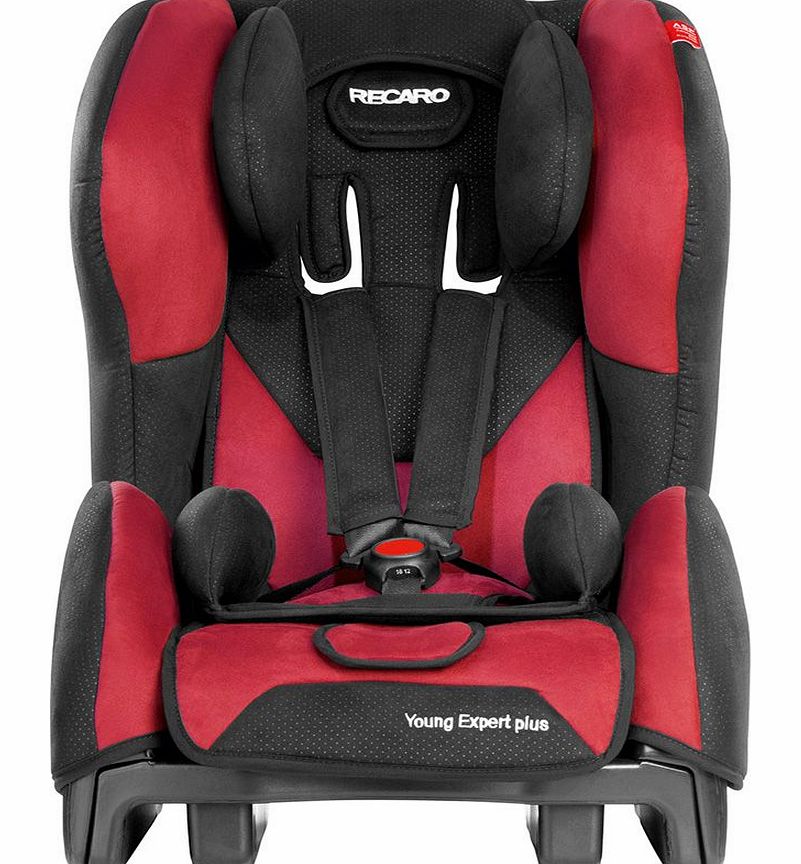 Young Expert Plus Cherry Car Seat 2014