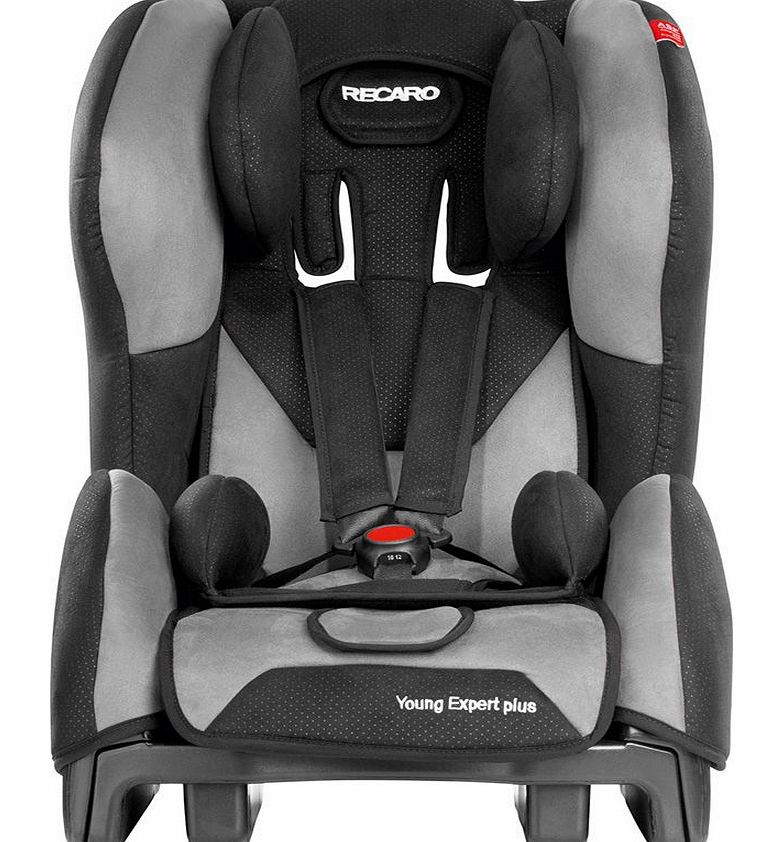 Young Expert Plus Graphite Car Seat 2014
