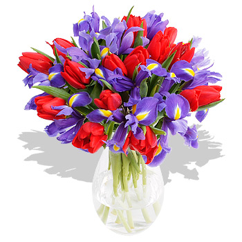 Red Tulips and Iris - flowers